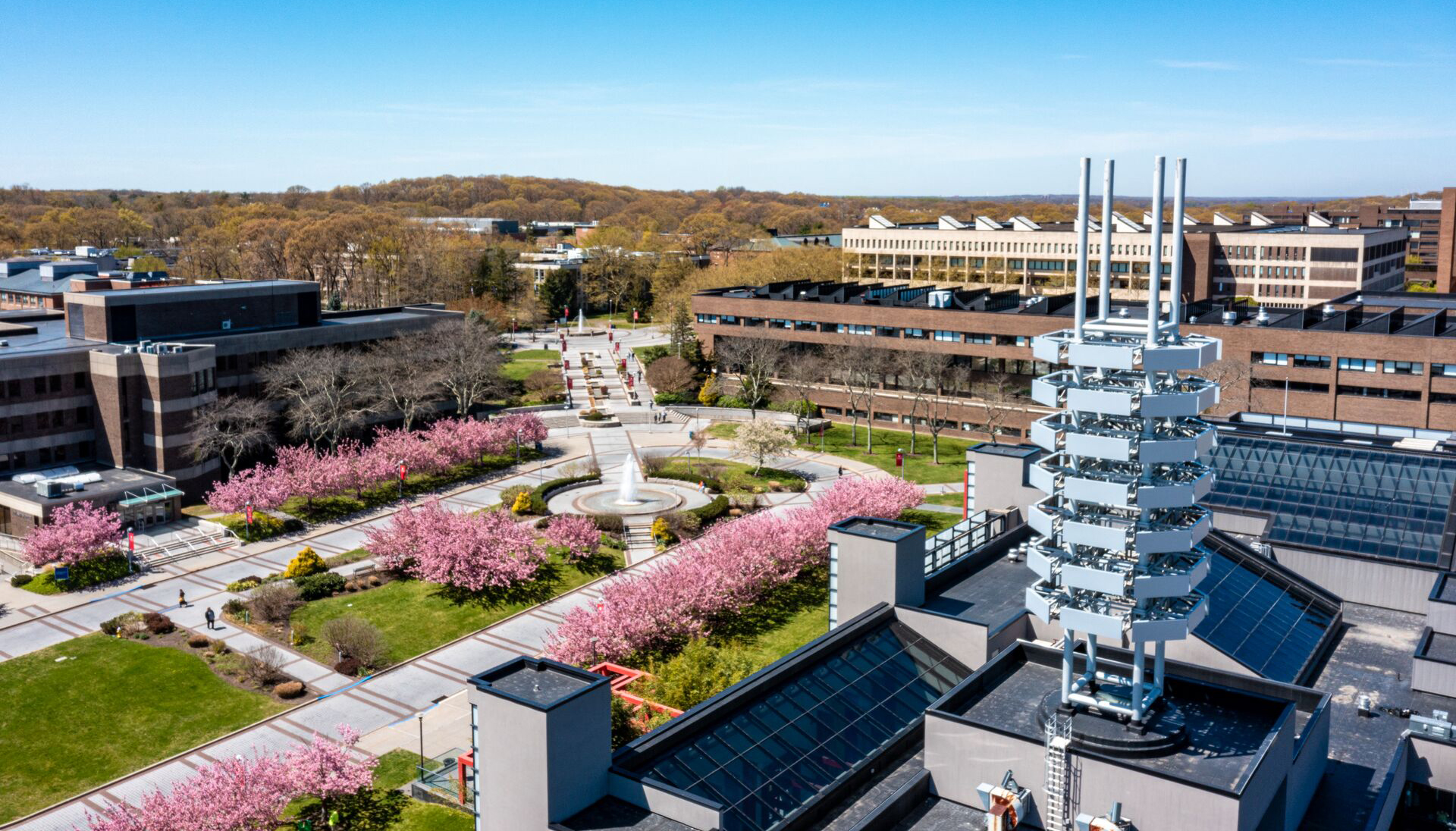 Ammerman Campus