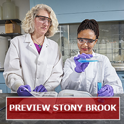 Preview Stony Brook